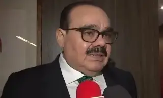 Partido Verde no ha sido convocado a la reforma electoral 