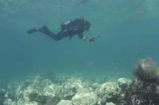 Entra en vigor el Tratado de Alta Mar ¿Para qué?