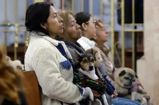 Bendicen a mascotas entre polémica por prohibición de venta de animales en México