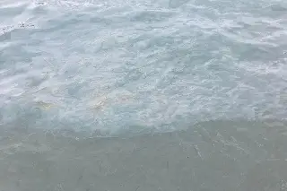 Pescadores registran derrame de combustible en Malecón de Veracruz