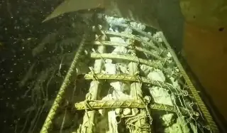 Advierten que lo peor estaría por venir en el Tren Maya ¿Por qué? (+Video)