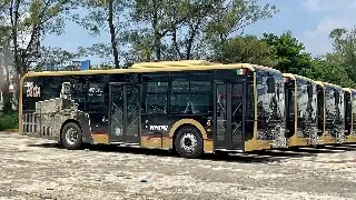 Solicitan choferes para camiones Ulúa en Veracruz; este es el sueldo