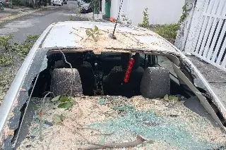 Nortazo derriba árbol sobre auto este sábado ¿Que no te toque! ¡Precaución!