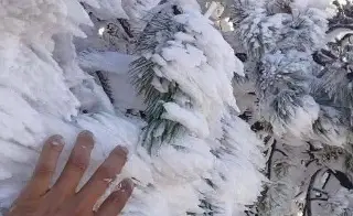 Cencellada cubre de blanco a Tlacolulan, Veracruz (+Fotos)