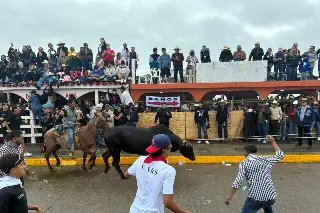 Sueltan a los toros en Tlacotalpan, Veracruz 