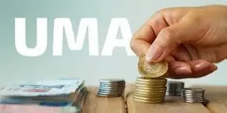 Aumenta la UMA desde febrero de 2026 ¿Qué trámites subieron de costo?