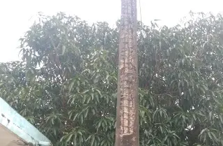 Vecinos del Coyol reportan poste de CFE en mal estado y un registro sin tapa en Veracruz