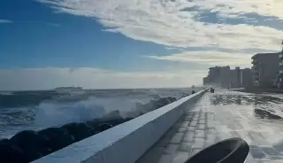 PC Boca del Río da recomendaciones y pide resguardar a mascotas por evento de norte