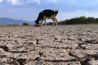 México logra su nivel más bajo de sequía en seis años