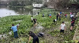 Vecinos de las lagunas la ilusión y el ensueño han retirado 600 toneladas de lirios en los últimos años