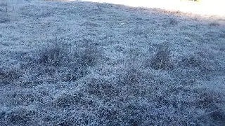 Este municipio de Veracruz alcanzó los -8 grados Celsius