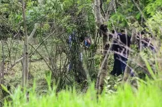 Rocío Nahle revela que Guardia Nacional se queda en Jáltipan tras hallazgo de fosa clandestina