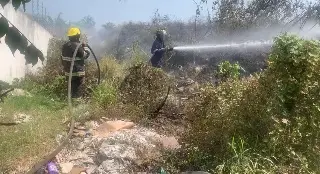 Van más de 165 incendios en este 2026 en Veracruz: PC