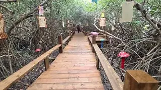 ¿Por qué clausuraron el 'Bosque de las Hadas' y el 'Tunel del Amor' en Pueblo Viejo?