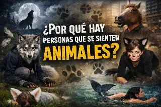 “Es una locura”: obispo de Veracruz sobre fenómeno therian y llama jóvenes a tener criterio