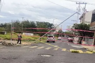 Árboles y postes caídos, incendio de una casa; este es el saldo por norte en Veracruz 