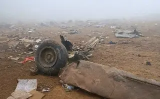 Perro sobrevive a accidente de helicóptero que dejó 15 muertos en Perú