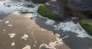 Reportan presunta contaminación en playas de Boca del Río 