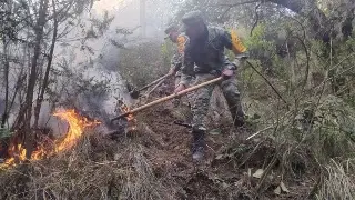 Afectó 1 hectárea incendio forestal en 111 Batallón de Perote, Veracruz 