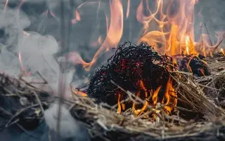 Se incendia lote baldío en colonia de Veracruz 