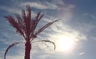 Ambiente caluroso en Veracruz, ¿Podría llover? 