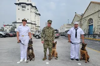 Con honores, jubila Semar a 'Karam', 'Hitzil' y 'Kobu' en Veracruz