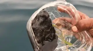 Chapopote contamina costa entre Veracruz y Tabasco