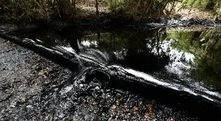 Derrame de petróleo preocupa a pescadores y restaurantes previo a Semana Santa en Veracruz