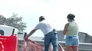 Motociclista muere arrollado en autopista de Veracruz 