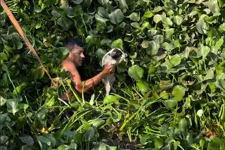 Rescatan perrito de río; hay indicios de que fue lanzado al agua