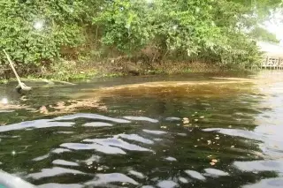 Asociación ambientalista hace llamado para atender derrame de petróleo en Veracruz  