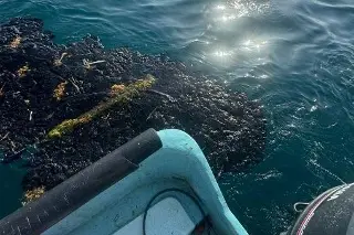 Estas son las consecuencias del derrame de petróleo en Veracruz