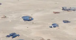 Manchas de petróleo llegan a Tabasco; realizan operativos para limpiar playas 