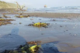 ¿A qué vienen si se van a embarrar de chapopote?: urgen limpiar playas de Alvarado, Veracruz