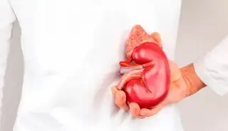 Todo listo para la caminata en Veracruz por el Día Mundial del Riñón; checa cuándo y la hora