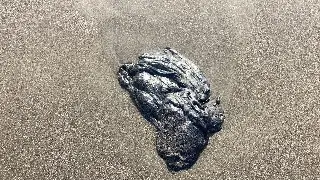 Rocío Nahle revela causas de derrame de petróleo que ha afectado a Veracruz 