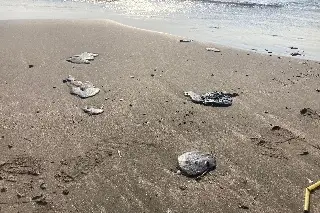 Petróleo no afecta las playas de Veracruz: alcaldesa