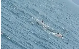 Captan a bañistas cerca de la Isla de Sacrificios de Veracruz (+Video) 