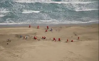 Recolectan más de 90 toneladas de residuos con petróleo en litoral del Golfo de México