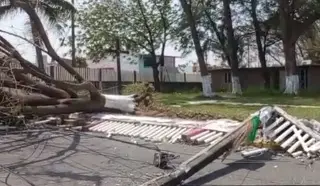 Árbol cae en barda de iglesia en Río Medio en Veracruz (video) 