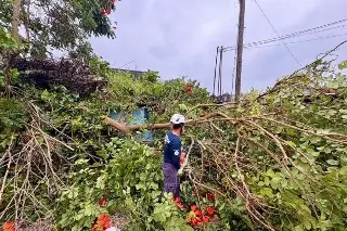 Este fue el saldo que dejó norte y lluvia en Poza Rica, Veracruz 