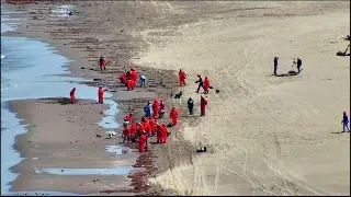 Reportan que avanza el 85% de limpieza por petróleo en playas del sur de Veracruz 