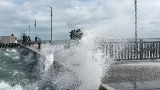 Persiste el viento del norte en Veracruz, rachas de hasta 85 km/h 