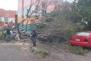 En Boca del Río hubo más de 60 situaciones de riesgo por evento de norte