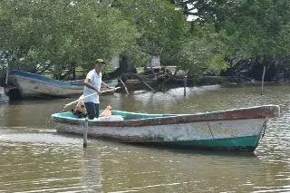 ¿Conoces este santuario natural pionero en la protección del manatí? Está a unos minutos de Veracruz