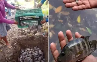 Así afecta a familias mancha de contaminación por Dos Bocas (+Video)