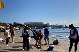 Realizan limpieza de playa en Veracruz; esto fue lo que se encontraron