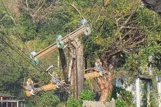 CFE cambia infraestructura eléctrica en Alvarado