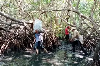 Derrame de petróleo en Veracruz afecta 630 kilómetros de litoral 