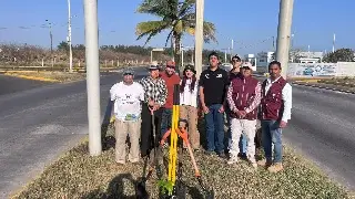 Ciudadanos siembran 50 robles en bulevar Fidel Velázquez en Veracruz